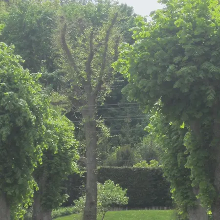 Apartmán Waldblick 4
